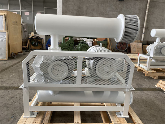 Positieve Wortelstype van het VerplaatsingsGietijzer Luchtventilator voor Ash Blowing In Power Plant