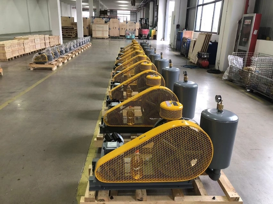 Roterende Luchtventilator met geringe geluidssterkte DN65 voor de Behandeling van afvalwater van de Hoge snelheidsmanier