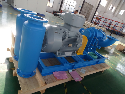 DN40 0,42-1,42 m³/min Roestvrijstalen Roots-blower voor speciaal gas