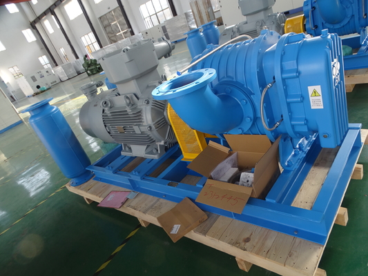 DN40 0,42-1,42 m³/min Roestvrijstalen Roots-blower voor speciaal gas
