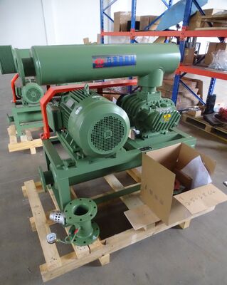 DN100 (4"), Roots-blower voor onderdruk, snelheid van 700 tot 1500 rpm voor waterzuivering