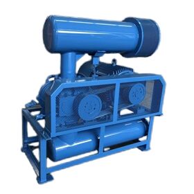 Roots-blower vacuümpomp model BV10034 met inlaat- en uitlaat afmeting DN350 voor vacuümluchtcapaciteit in diverse industrieën