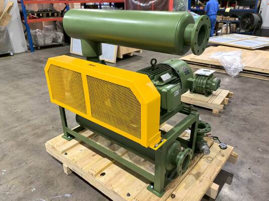 Roots-blower vacuümpomp model BV10034 met inlaat- en uitlaat afmeting DN350 voor vacuümluchtcapaciteit in diverse industrieën