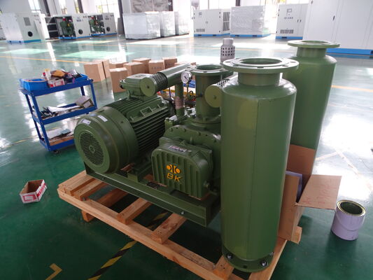 BK BV6008 Industriële Roots Vacuümpomp -30KPA Negatieve Druk Blower voor Vacuümtransport & Zuigvoersysteem