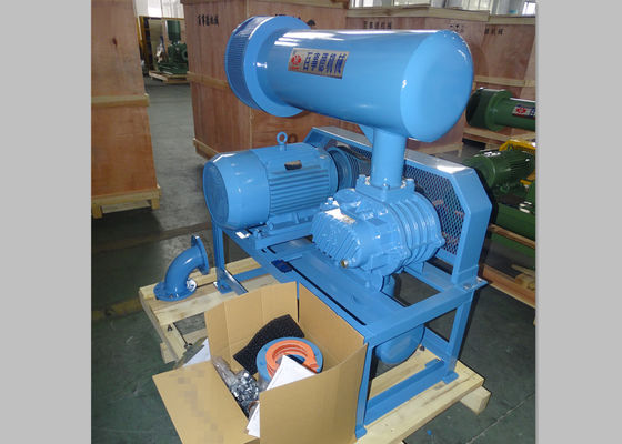 10 -80kpa roterende lobbesproeiers voor waterbehandeling en pneumatisch vervoer