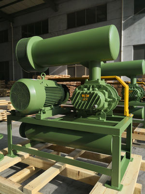100 de Efficiency Laag Energieverbruik van Dia Roots Type Blower High van de 4 Duimhaven