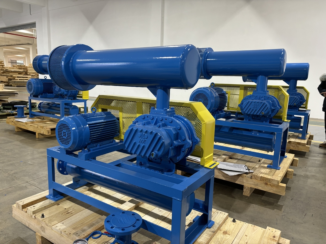 De Ventilatorhoog rendement 60-100kpa van drie Kwabtype Roterend Hoge drukwortels
