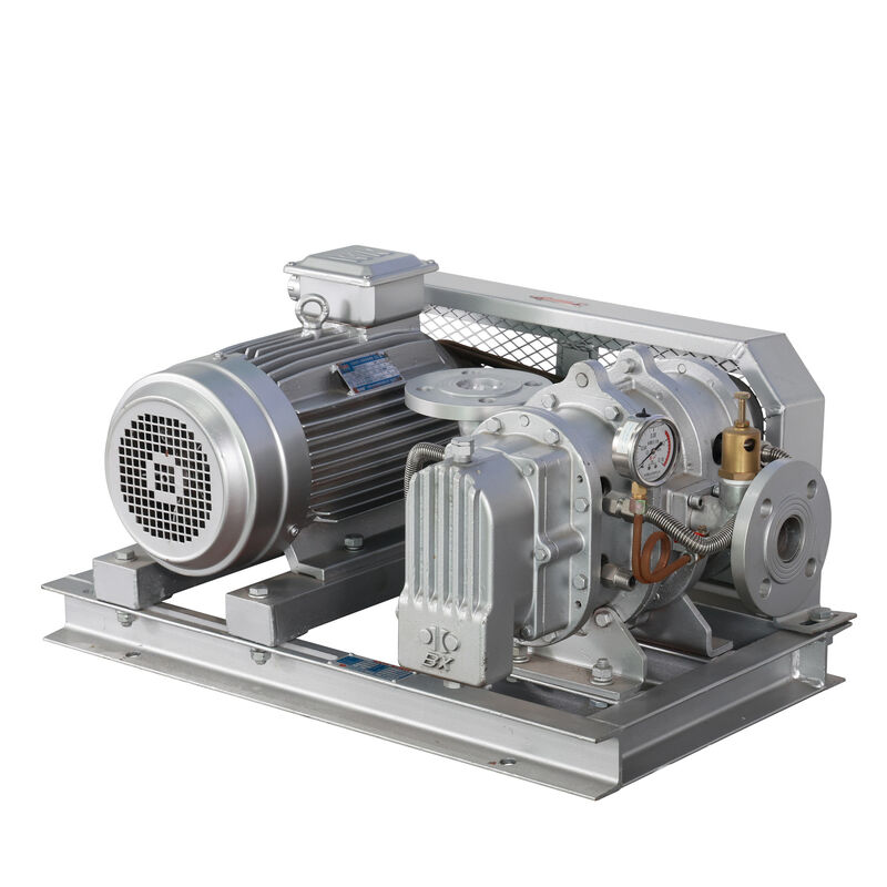 BX100 4'' 3.18-11.74 m3/min 0.1-0.7 kgf/cm2 BX-serie rootsblower van roestvrij staal