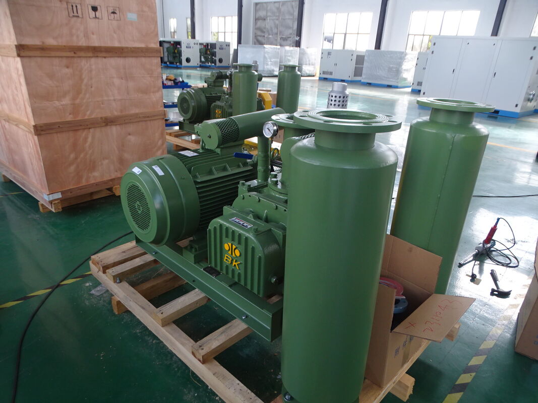 BK BV6008 Industriële Roots Vacuümpomp -30KPA Negatieve Druk Blower voor Vacuümtransport & Zuigvoersysteem