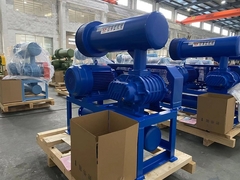 Nieuw type wortelblazer voor waterbehandeling