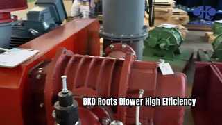 BKD Rootsblower