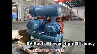 BV Wortelblazer